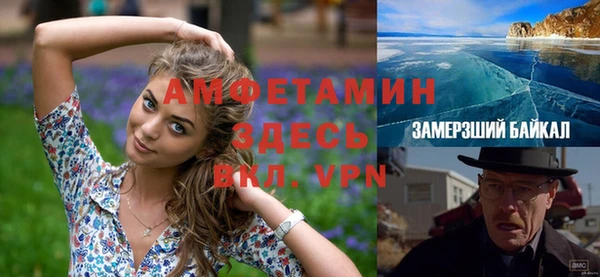 сатива Абаза