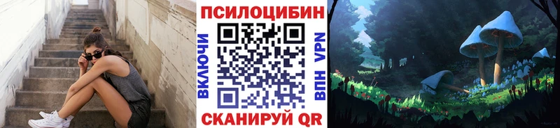 hydra   Уржум  Галлюциногенные грибы Psilocybe 